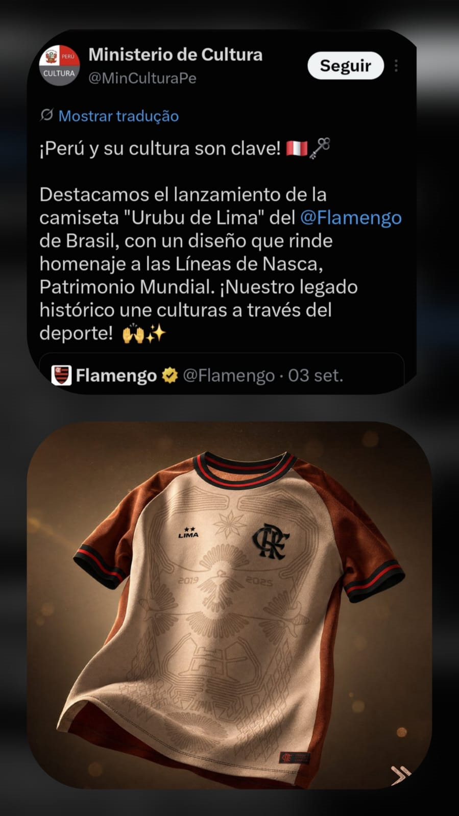 Camisa vencedora do Manto da Nação inspirada nas linhas de Nazca